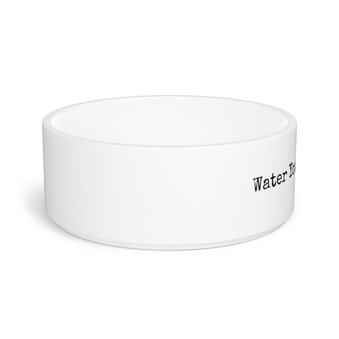 Pet Bowl - Water You Waiting For?