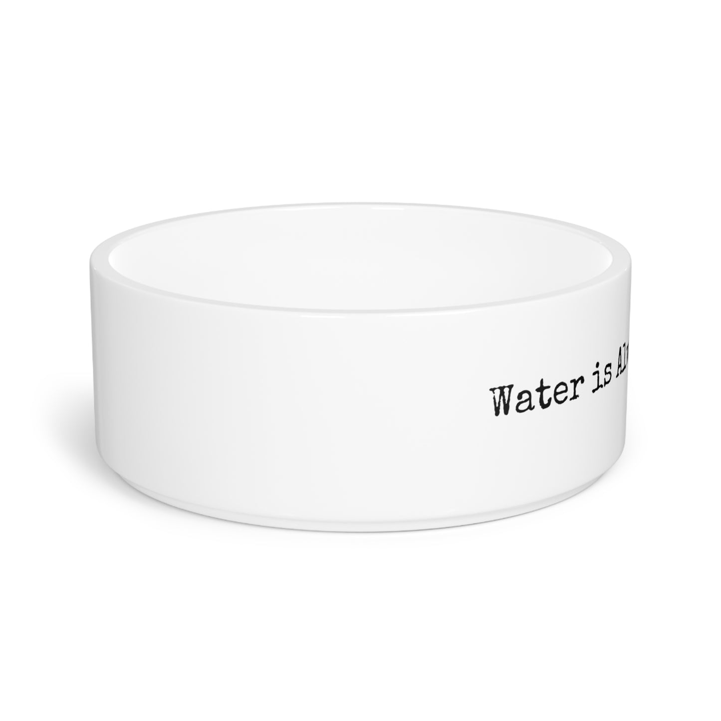 Pet Bowl - Water is Always a Good Idea.