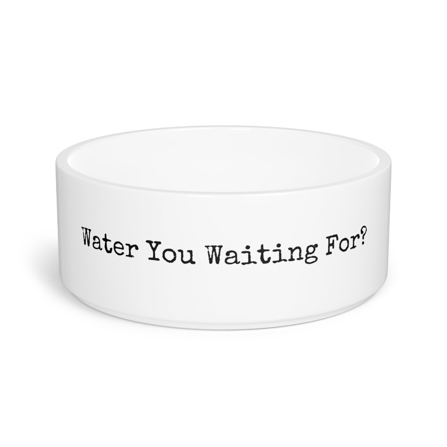 Pet Bowl - Water You Waiting For?