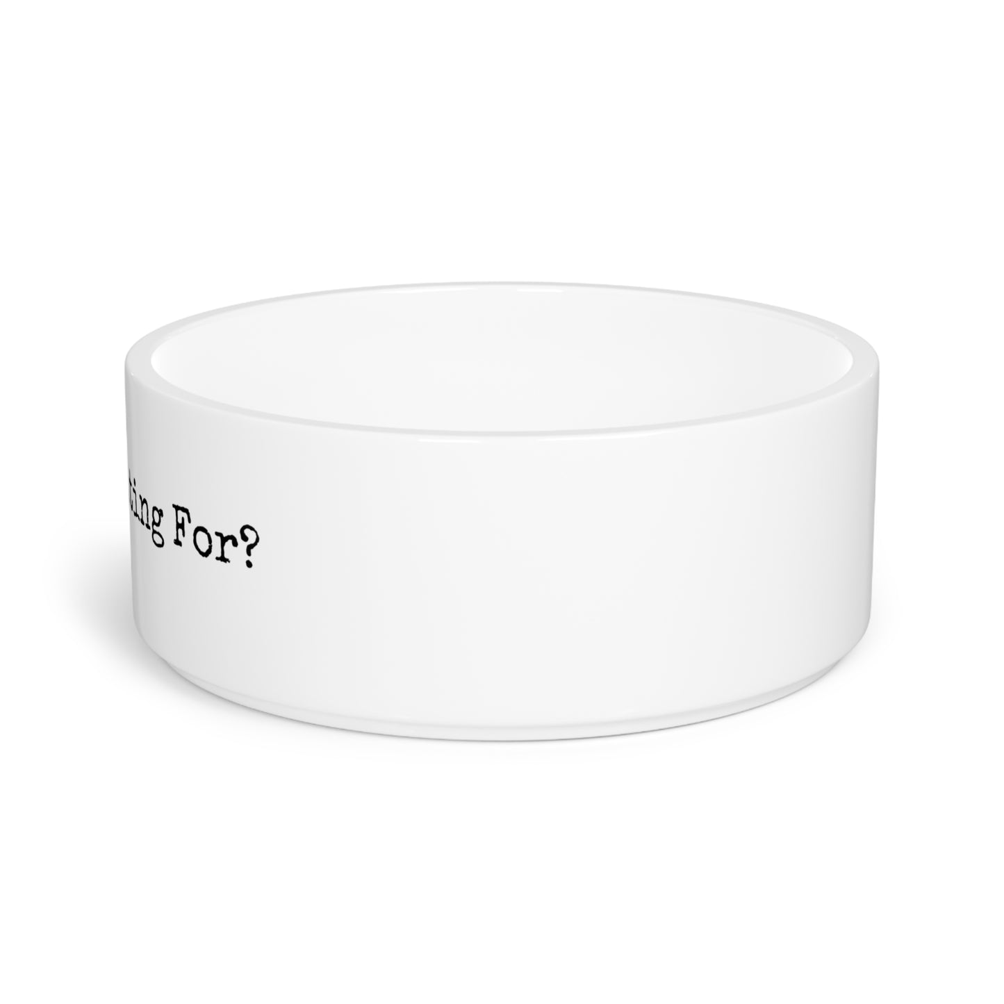 Pet Bowl - Water You Waiting For?